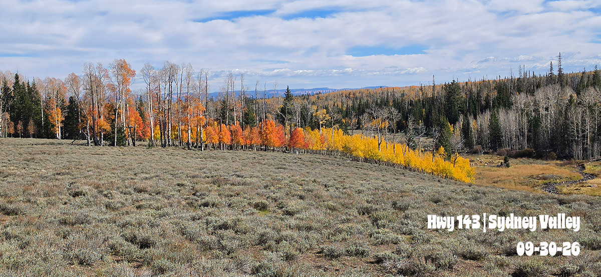 Hwy 143 | Sydney Valley | 2026
