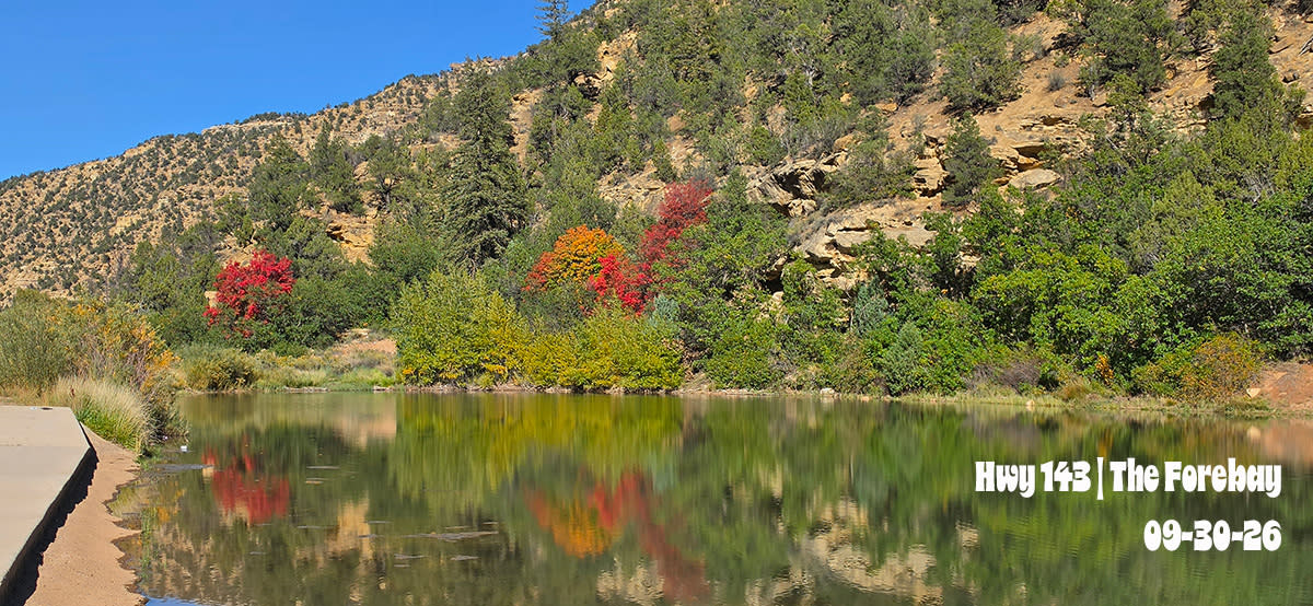 Hwy 143 | The Forebay | 2026