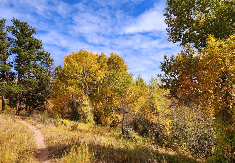 Canyons Trail in Fall, Curt Gowdy State Park