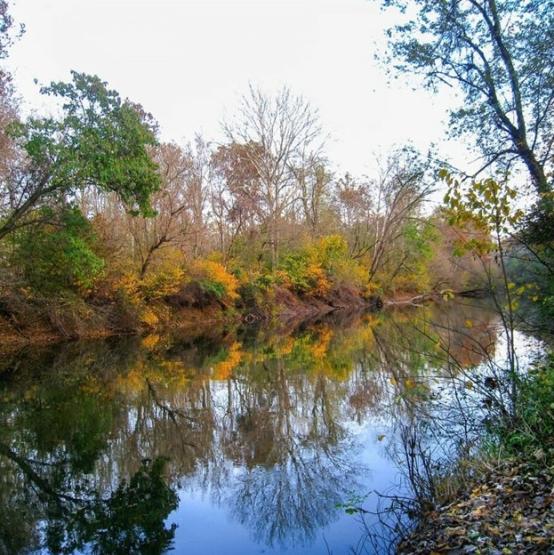 Palmer State Park