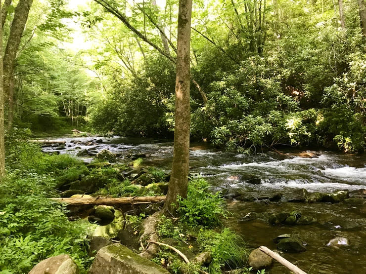 Noland Creek Trail