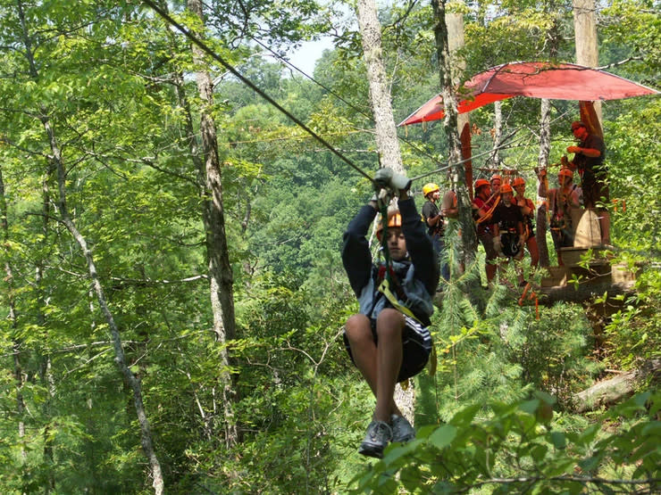 Ziplining & Canopy Tours