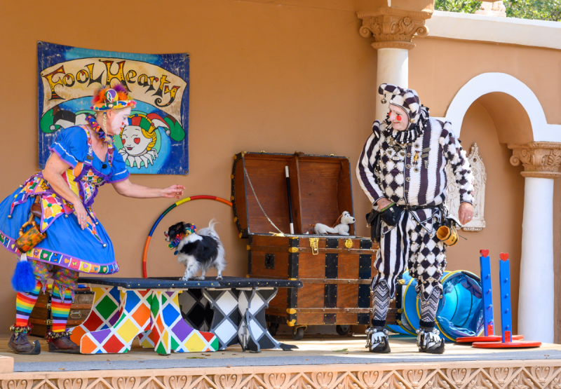 Two people dressed up as jesters performing on stage