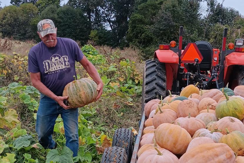 DEVINE FARMS