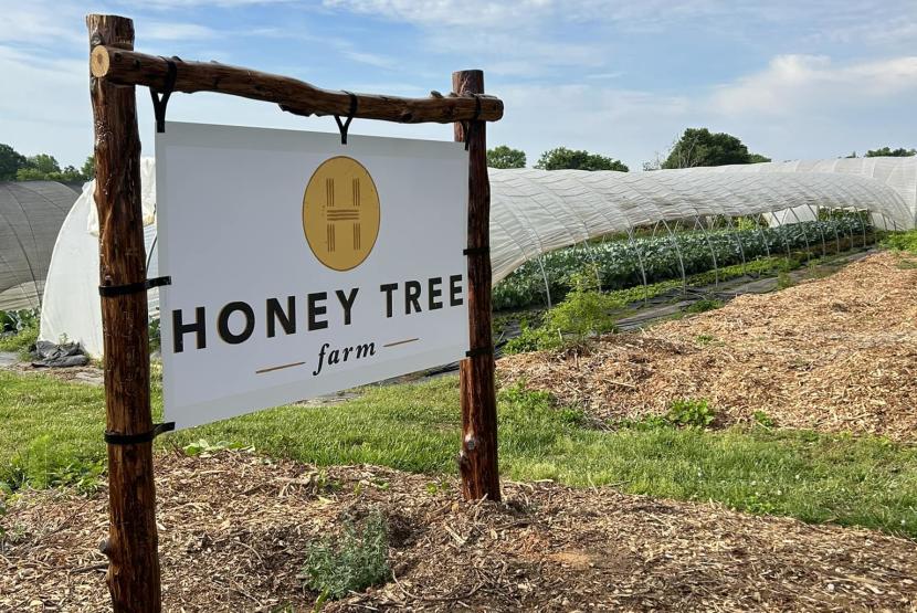 HONEY TREE FARM