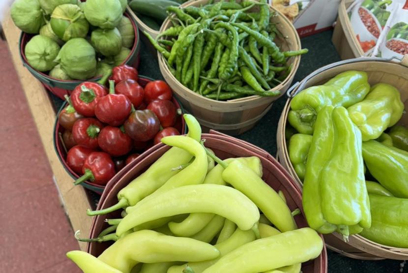 FRESH MARKET PRODUCE