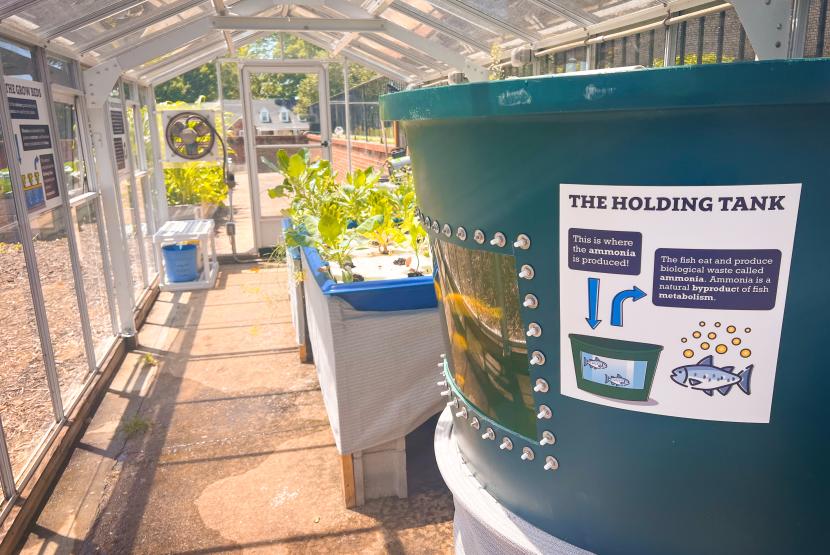 Aquaponics Greenhouse