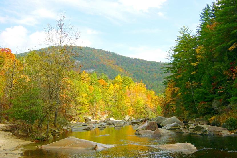 Wilson Creek