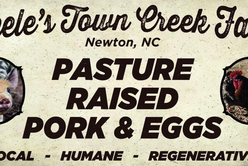 Steele's Town Creek Farm Logo