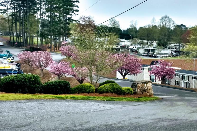Sites in Spring