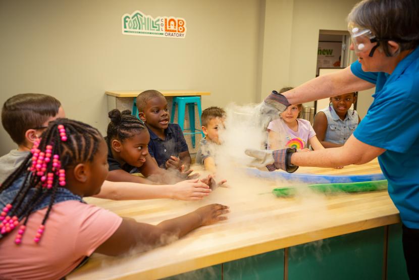 Foothills Collaboratory