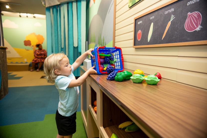 Treehouse Adventures Exhibit