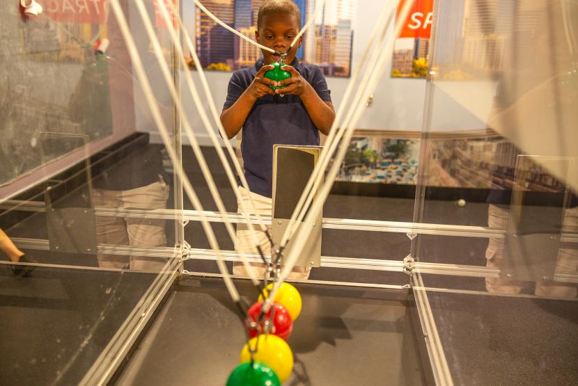 Newton's Cradle in Velo-City Exhibit