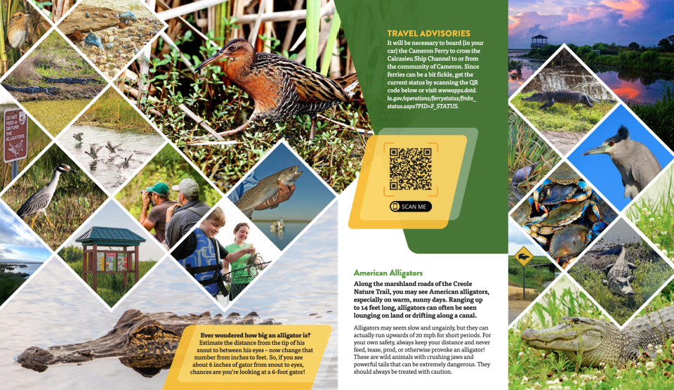 A photo showing interior pages of the Creole Nature Trail Guide from Visit Lake Charles, LA.