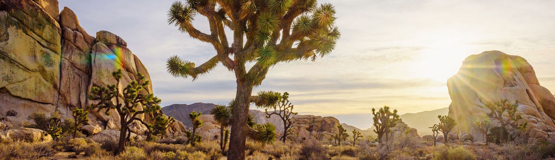 Golf Images Golf Course Near Joshua Tree National Park