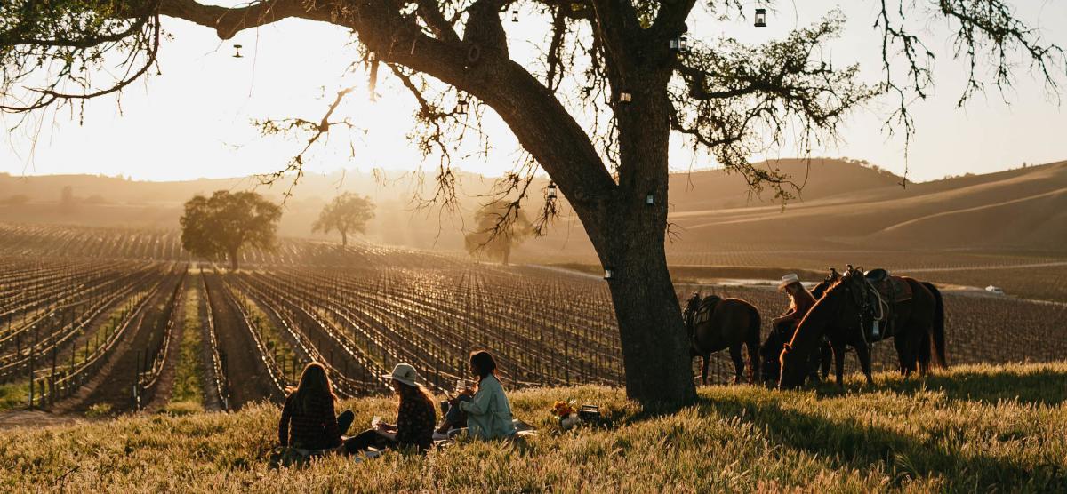 Girlfriends' Enjoy the Sunset After a Ride