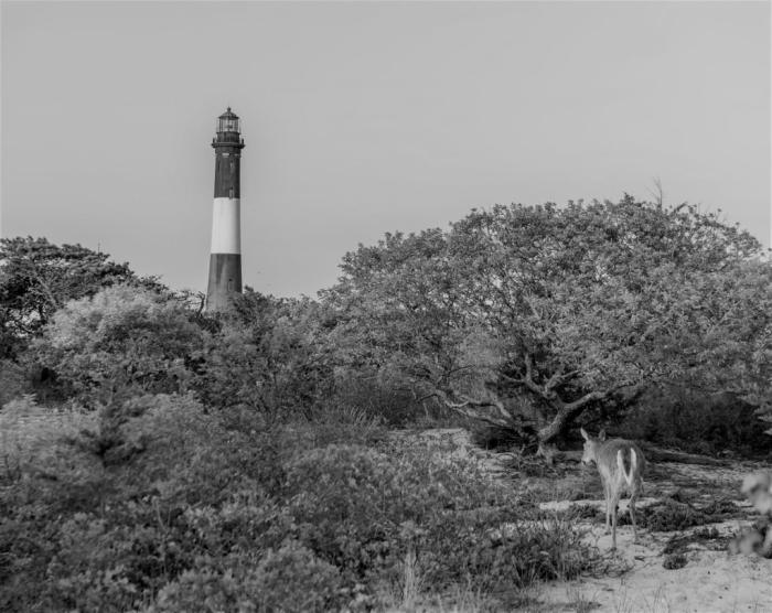 fire-island-lighthouse-1024x813