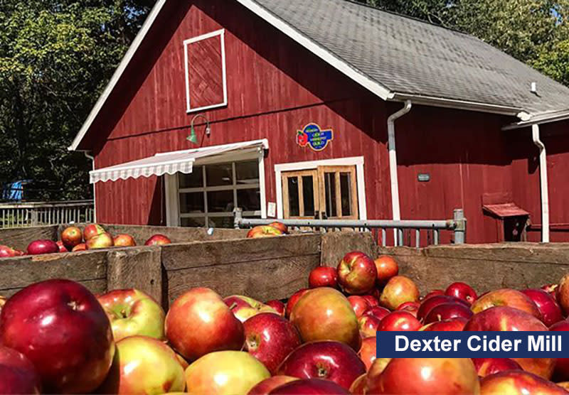 Dexter Cider Mill apples