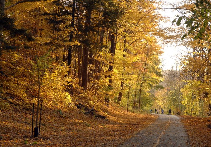 fall hiking