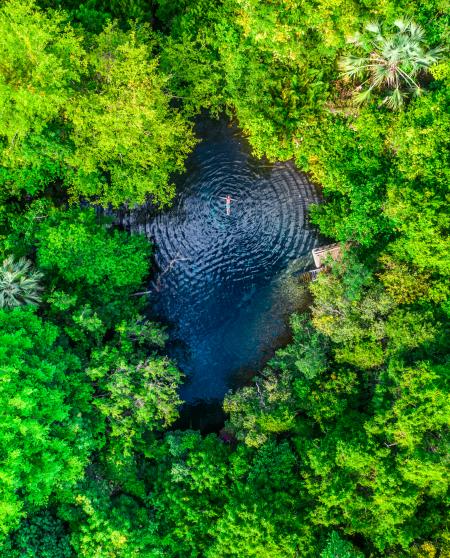 Reserva Ecológica Ojos Indígenas. Robert Michael Poole. Punta Cana