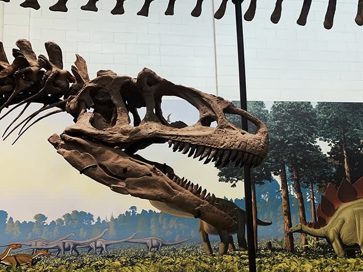 Carnegie Museum