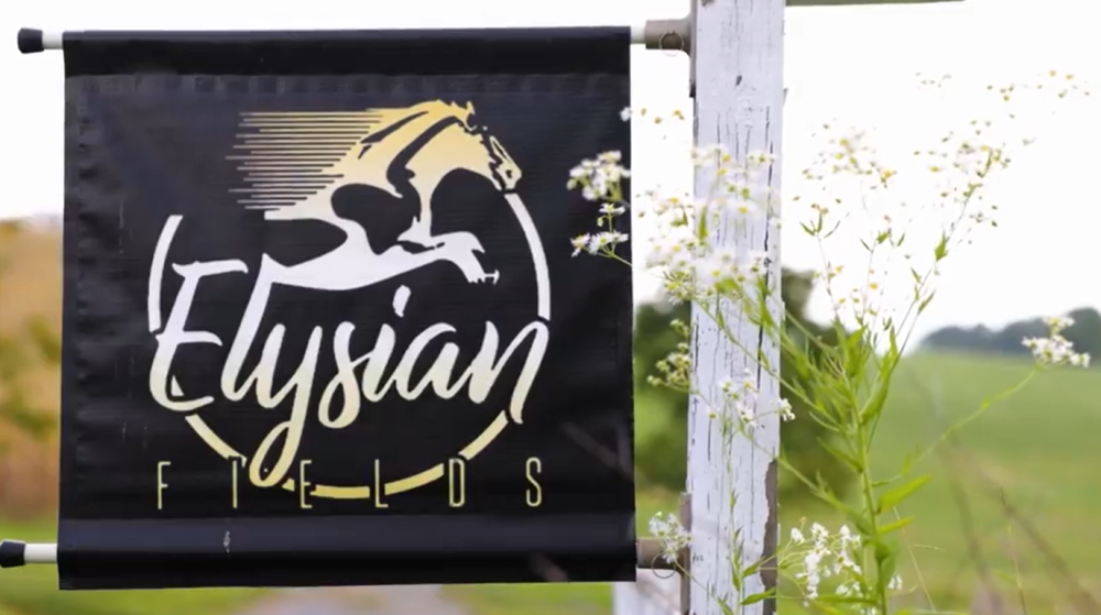 Elysian-Fields banner