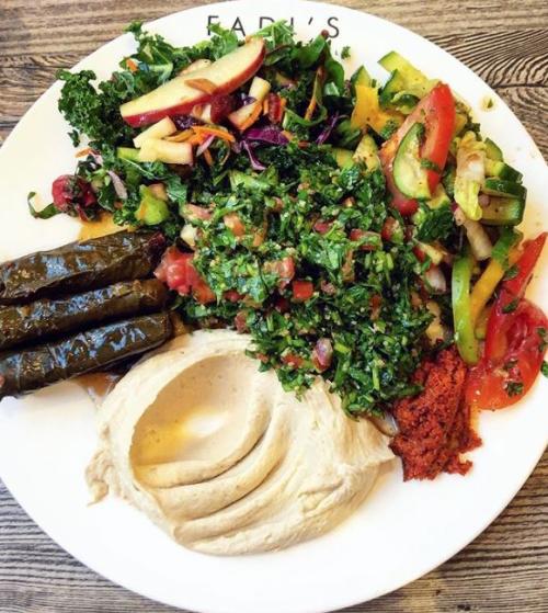 Grape leaves, hummus and tabuleh at Fadi'[s