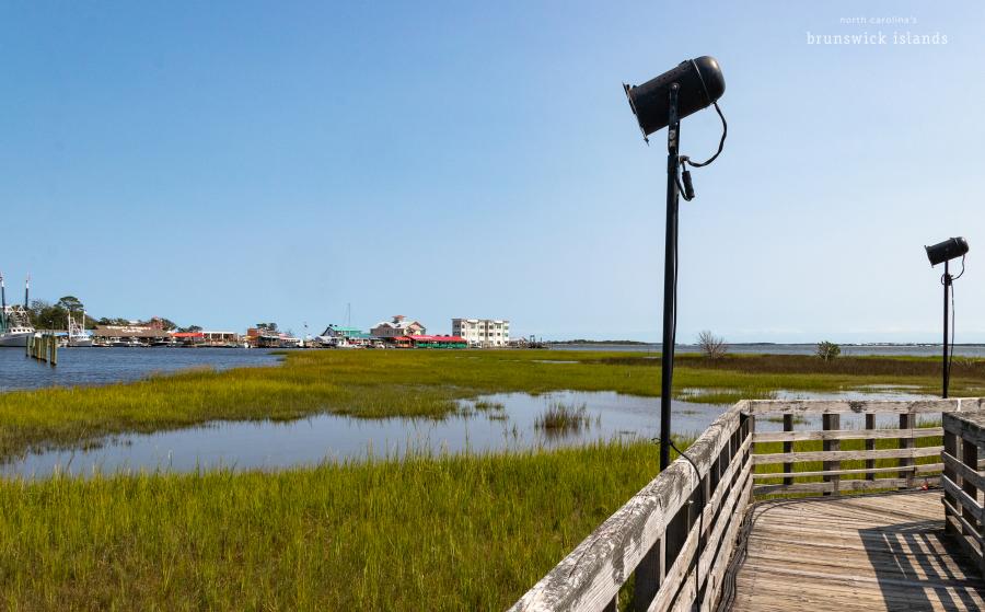 a movie spotlight along a wooden walkway through the marsh in Southport. NC