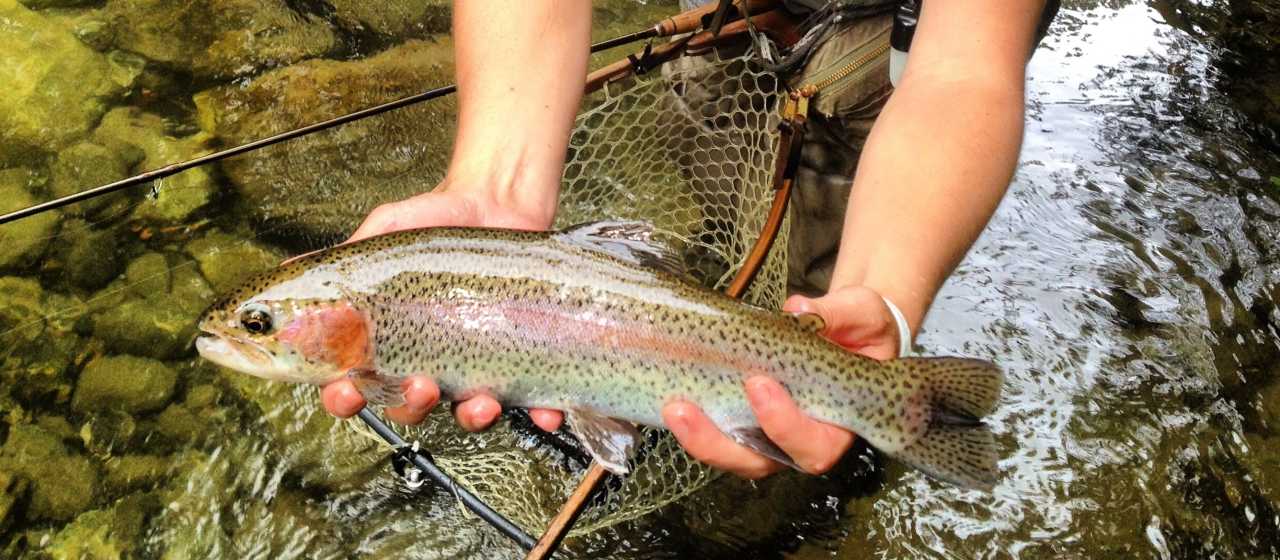 Fishing}