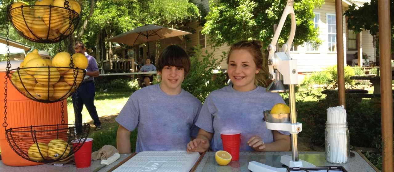 Locals sell fresh lemonade at a stand in Rutherford County, NC.}