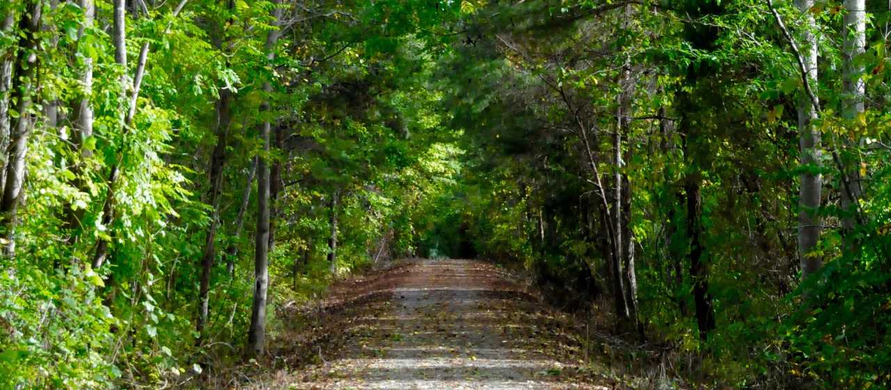 Thermal Belt Rail Trail}