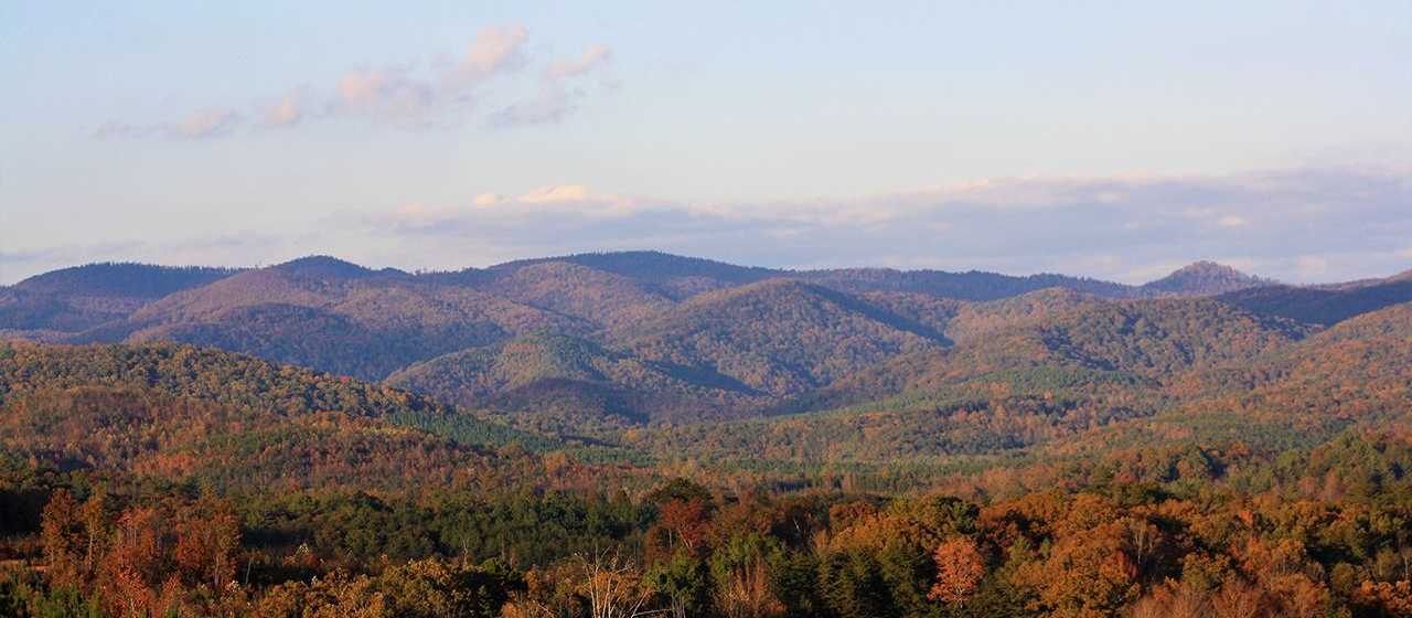 Golden Valley Fall Views at Yogi Bear Jellystone Resort}