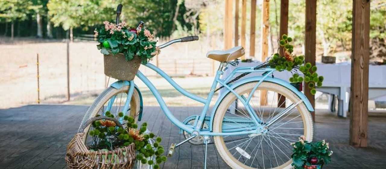 Farms to Visit}