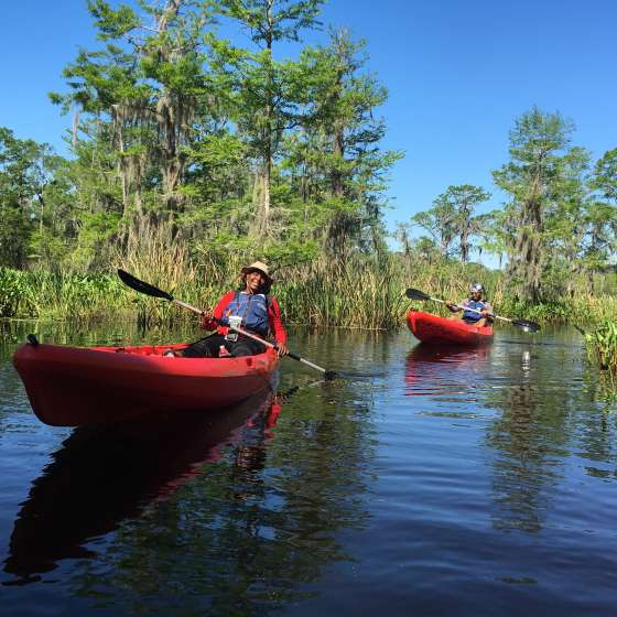 A New Orleans Kayak Swamp Tour
