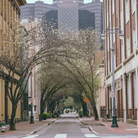 Lafayette Street & Baronne Street – Downtown – Innenstadt – Frühling
