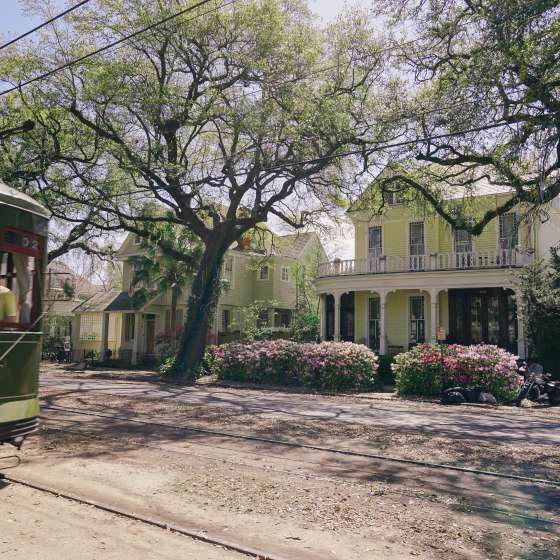 Streetcar - Uptown Spring Color - Azaleas - St. Charles Avenue