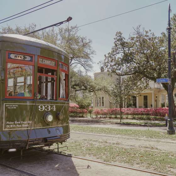 Streetcar - Uptown Spring Color - Azaleas - St. Charles Avenue