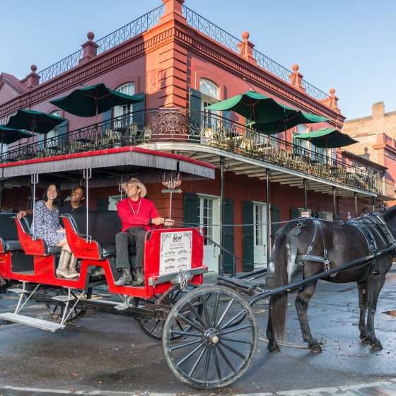 Horse and Carriage Tour