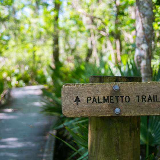 Bayou Sauvage - Palmetto Hiking Trail