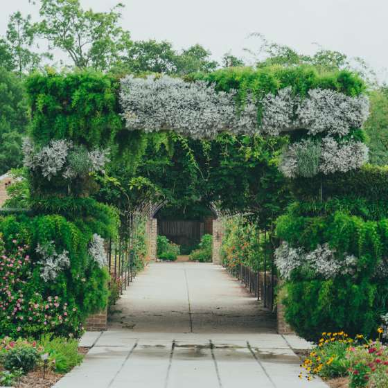 New Orleans Botanical Garden