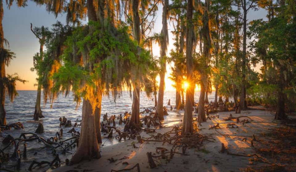 Fontainebleau State Park