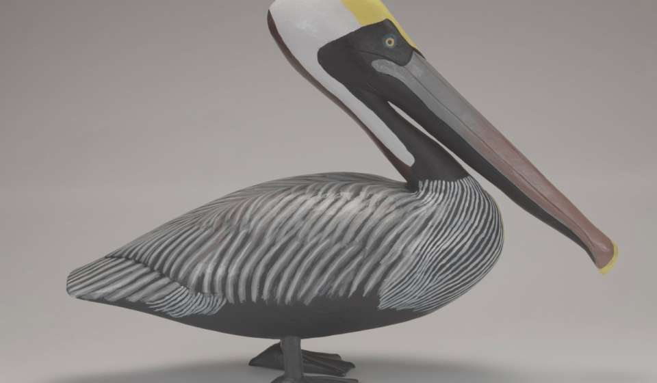 Brown Pelican by Laurent Verdin Jr. - Gift of Anne and Dick Stephens and Family