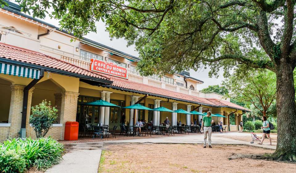 Cafe du Monde - City Park