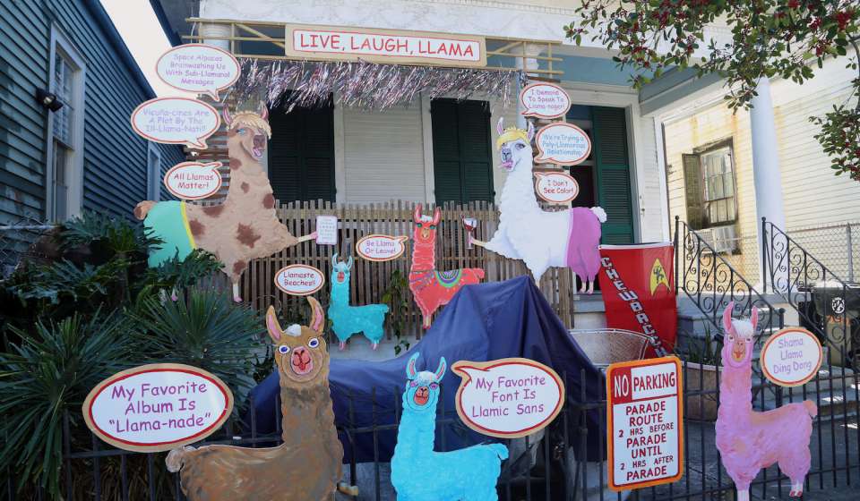 Live, Laugh, Llama House Float