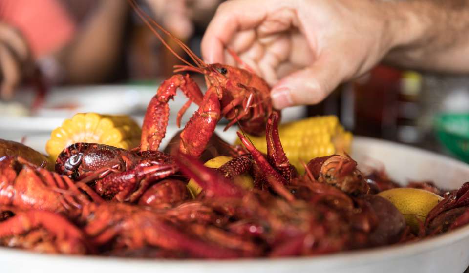 Boiled Crawfish - Frankie and Johnny’s