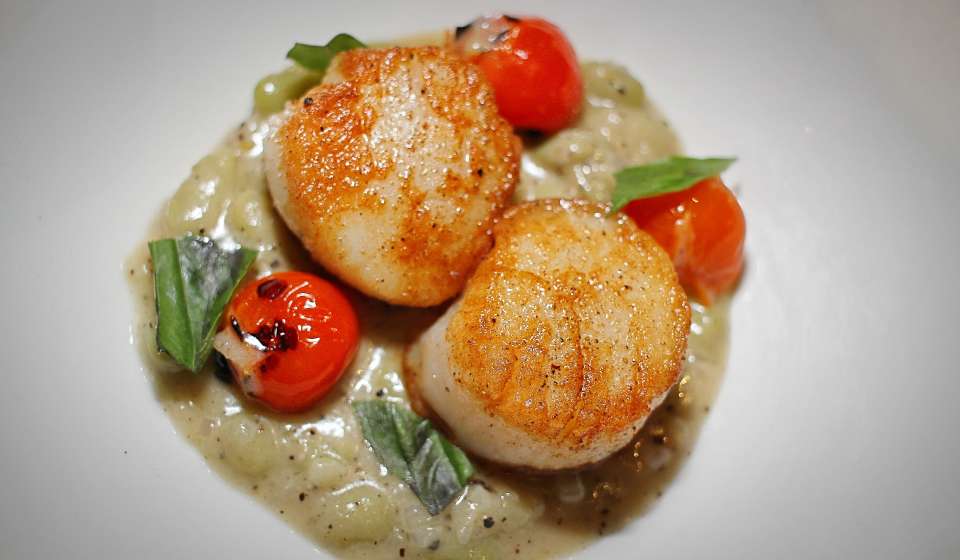 Seared Scallops with Cacio e Pepe Beans - Zasu