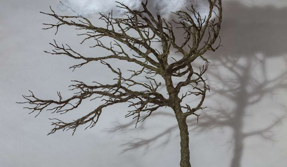 Laura Gipson, “Caught Up in Everything”