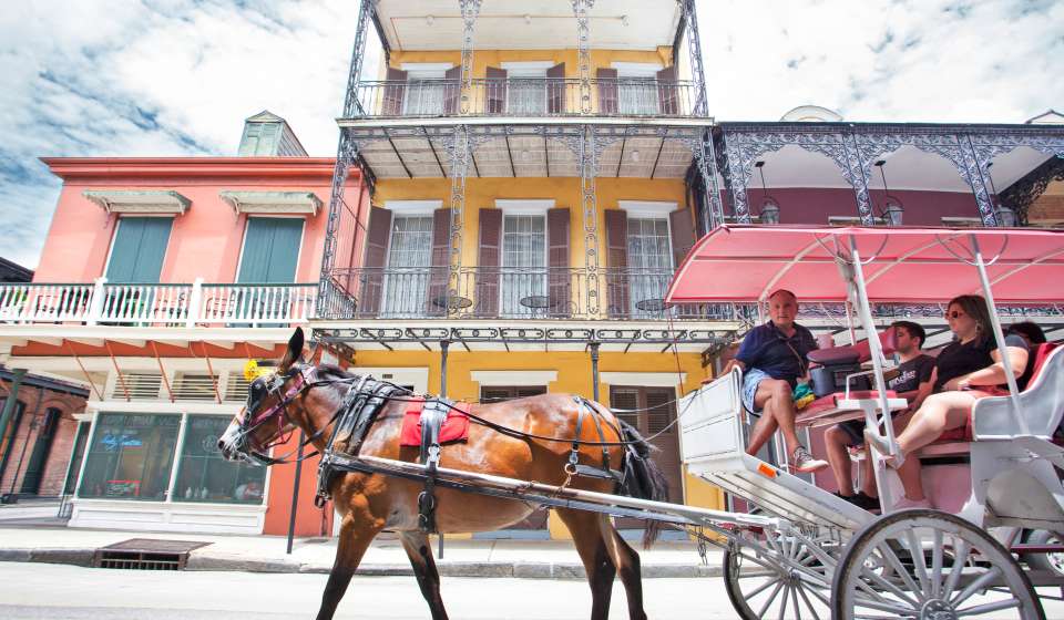 Horse and carriage ride through the French Quarter