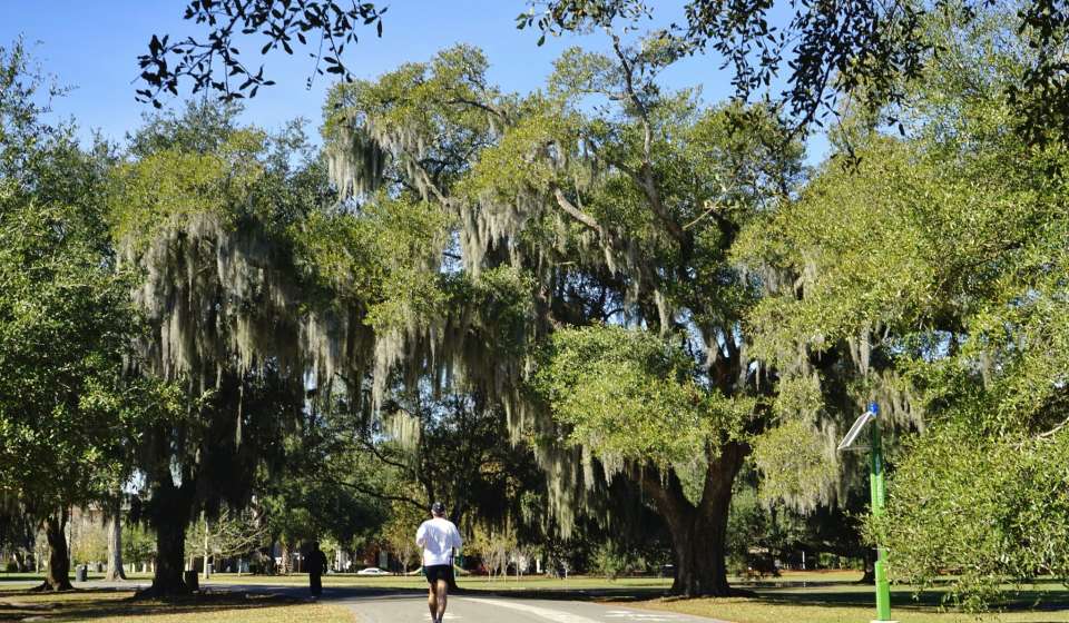 Running in Audubon Park