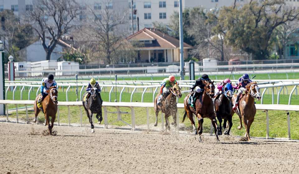 Horse Racing - Fairgrounds